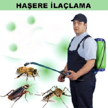 Armutlu Böcek İlaçlama